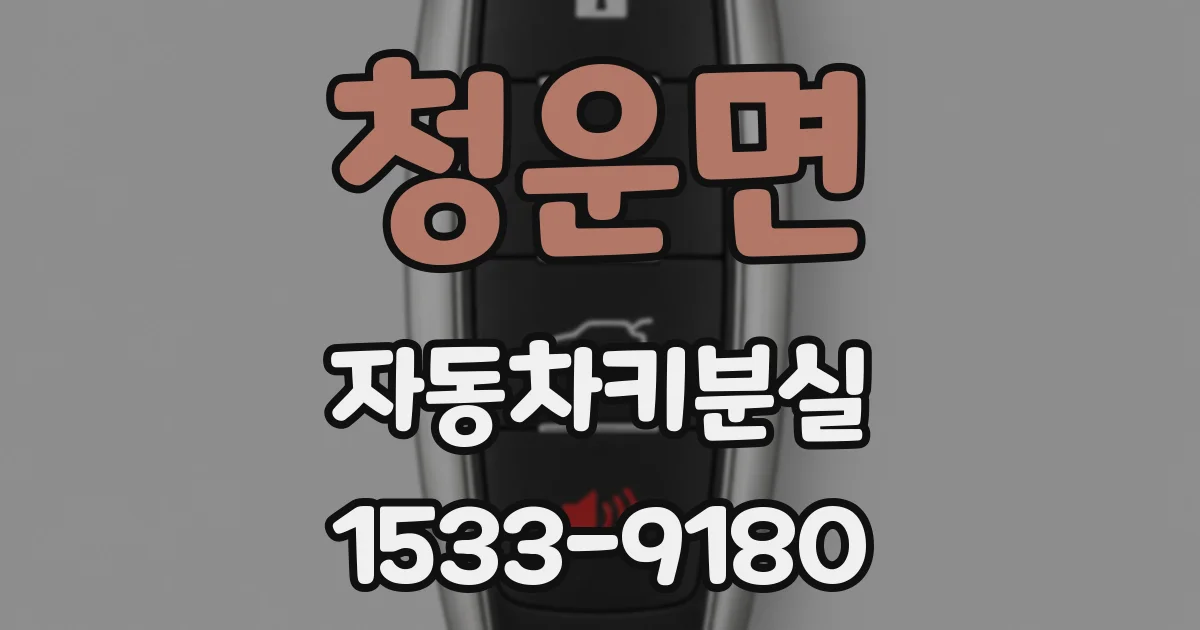 청운면 자동차키분실