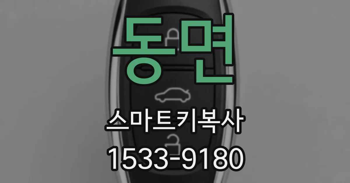 동면 스마트키복사