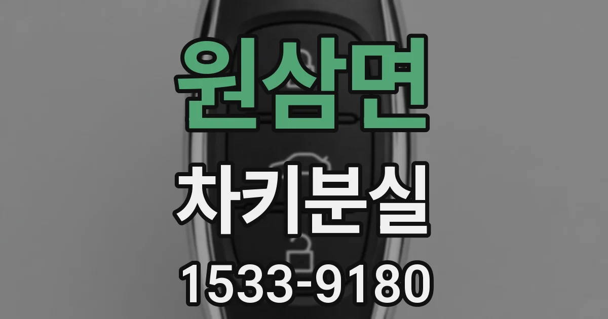 원삼면 차키분실