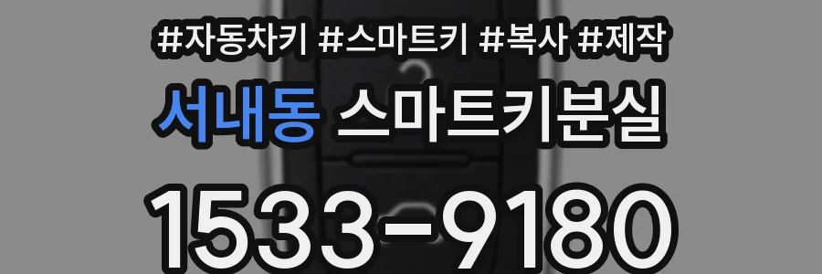 서내동 스마트키분실
