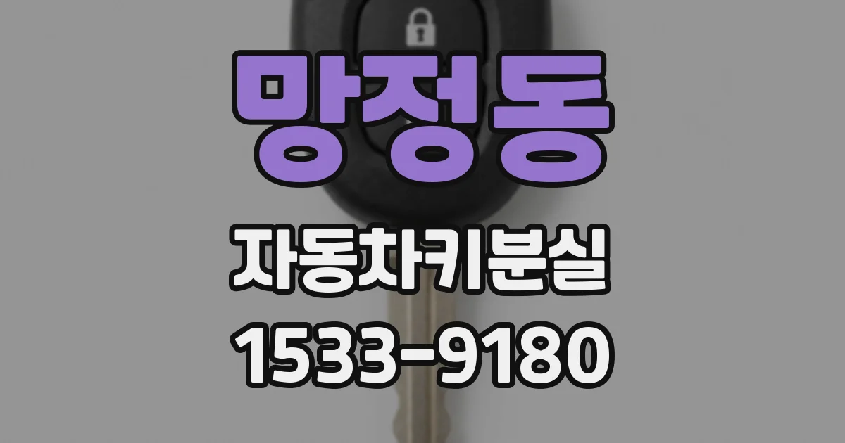 망정동 자동차키분실