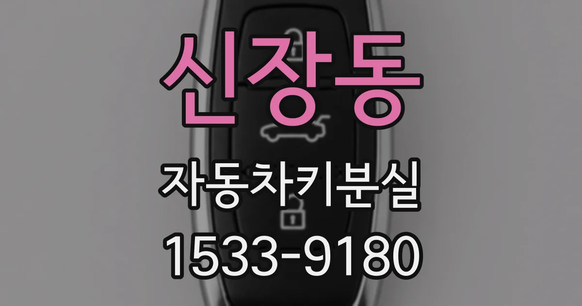 신장동 자동차키분실