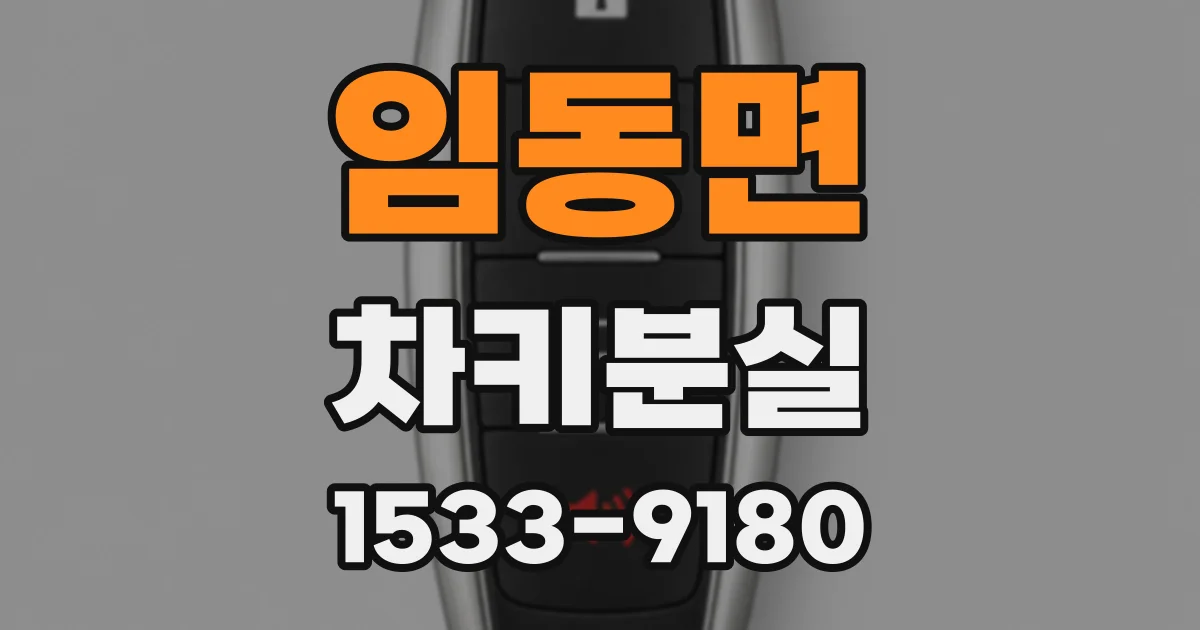임동면 차키분실