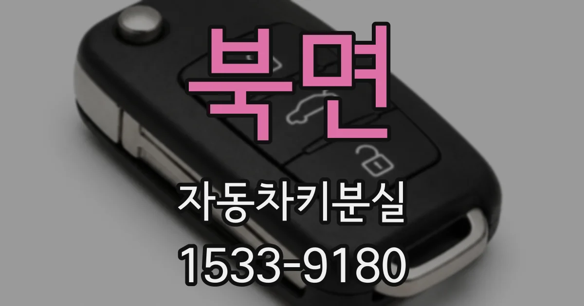 북면 자동차키분실