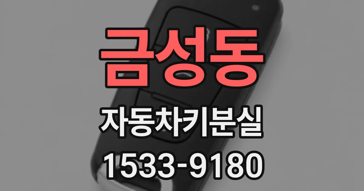 금성동 자동차키분실
