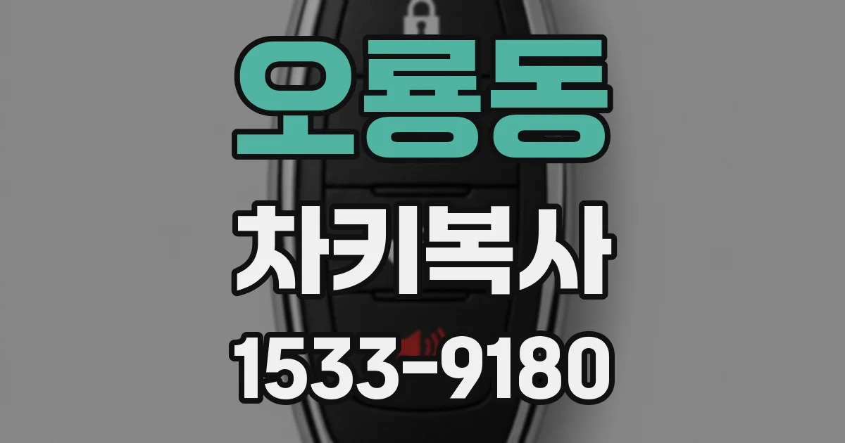 오룡동 차키복사