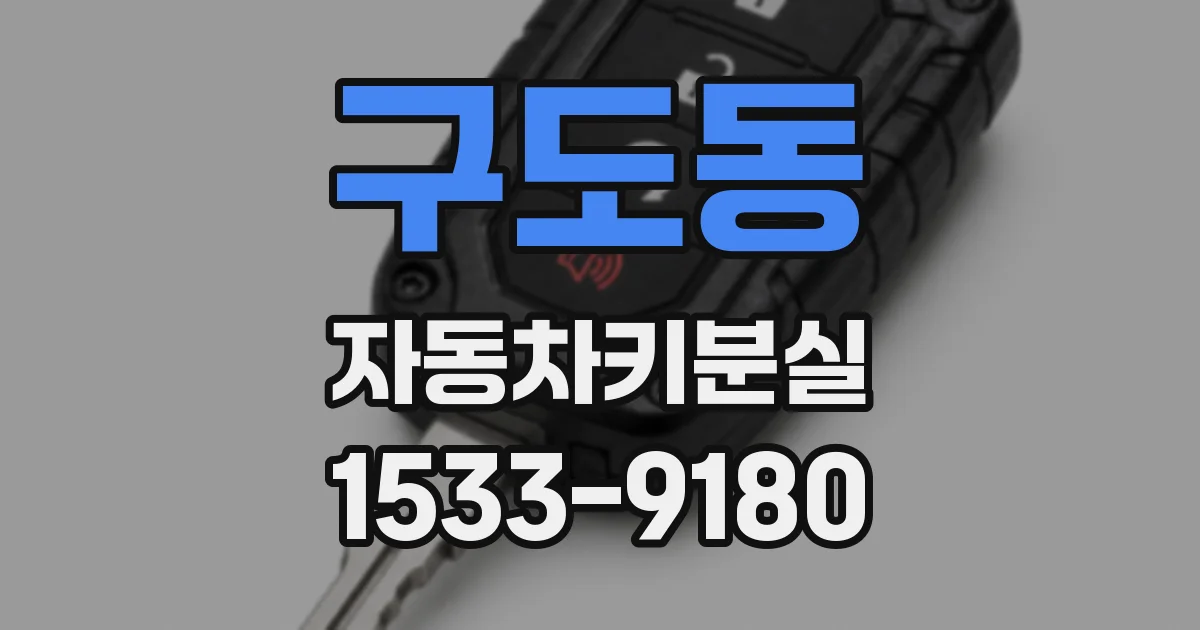 구도동 자동차키분실