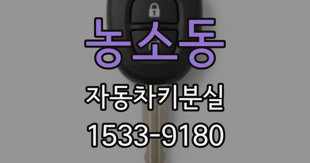 농소동 자동차키분실
