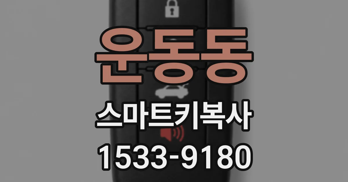 운동동 스마트키복사
