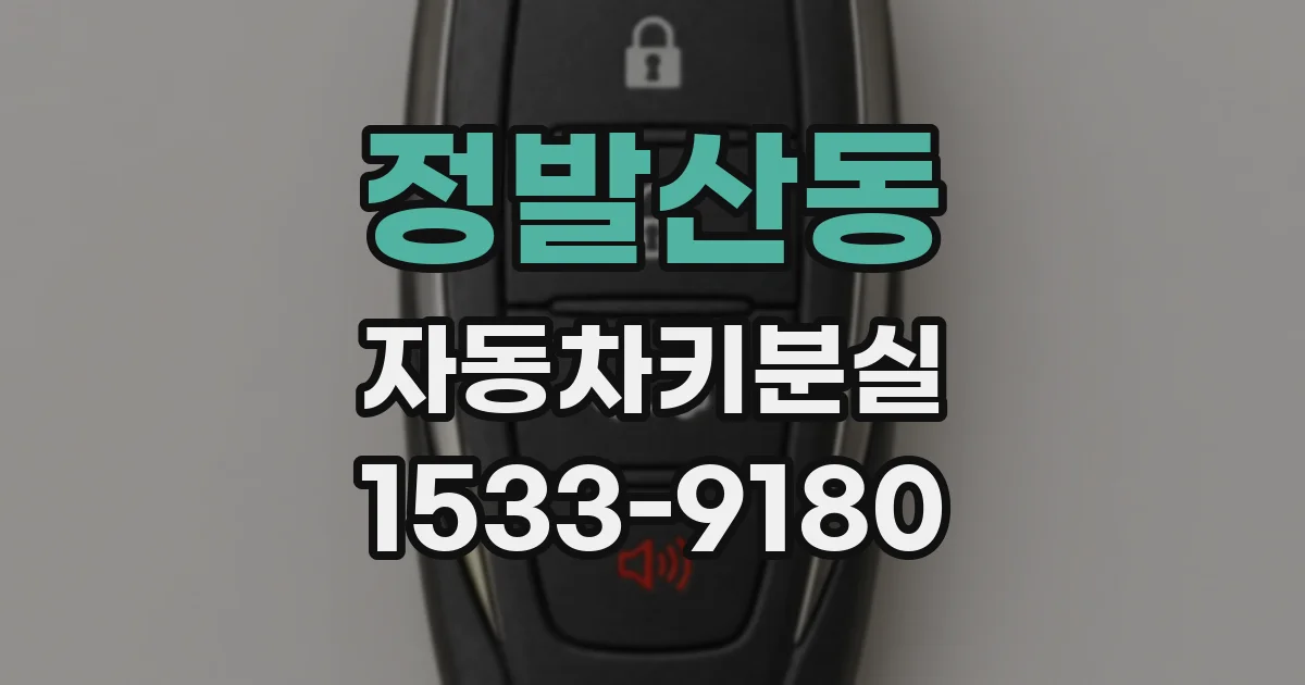 정발산동 자동차키분실