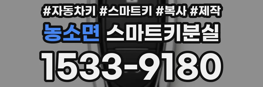 농소면 스마트키분실
