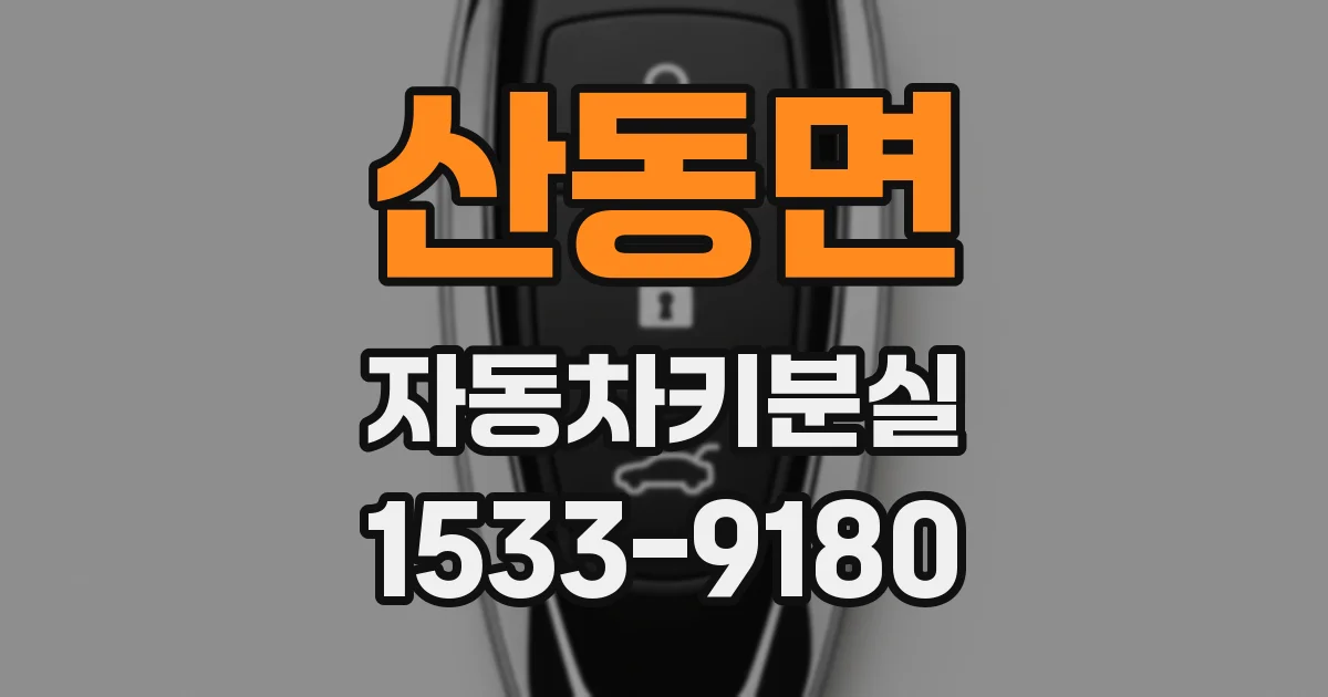 산동면 자동차키분실