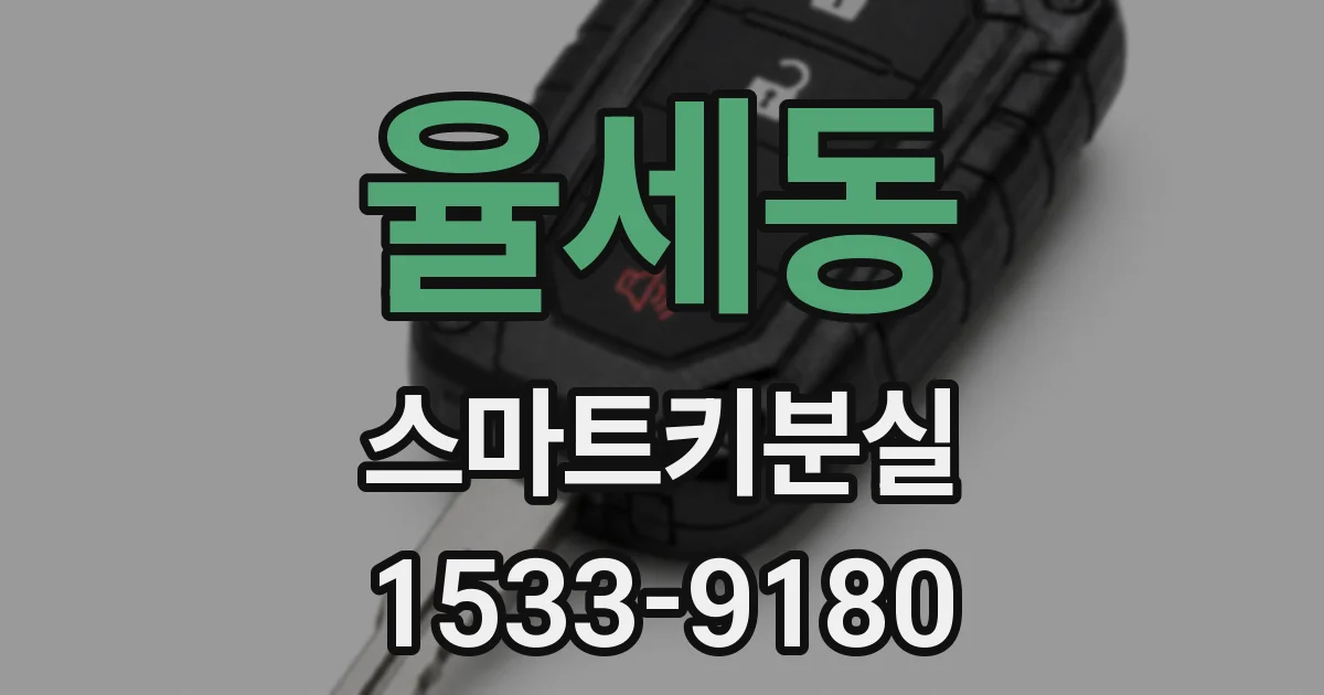 율세동 스마트키분실