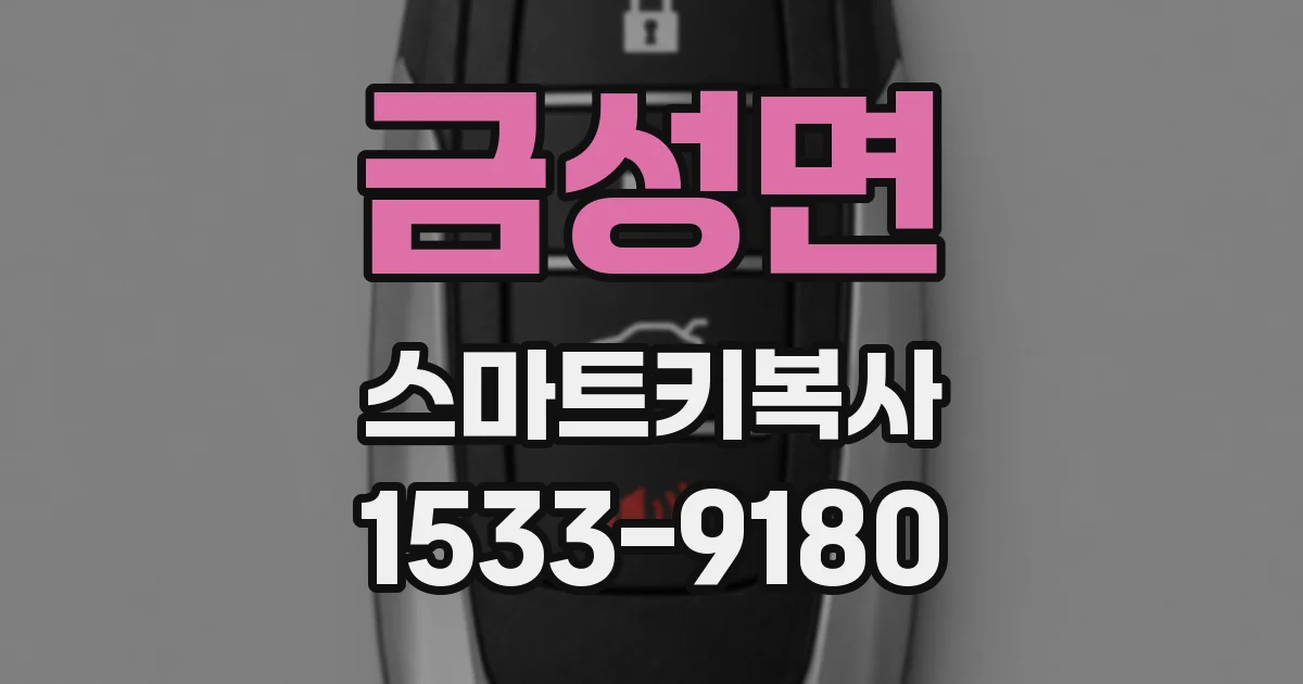 금성면 스마트키복사