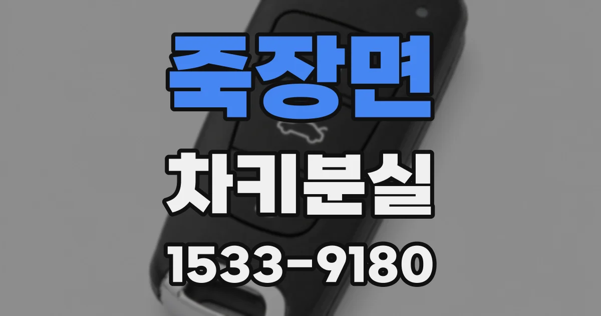 죽장면 차키분실