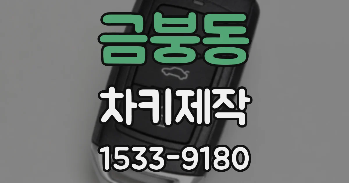 금붕동 차키제작