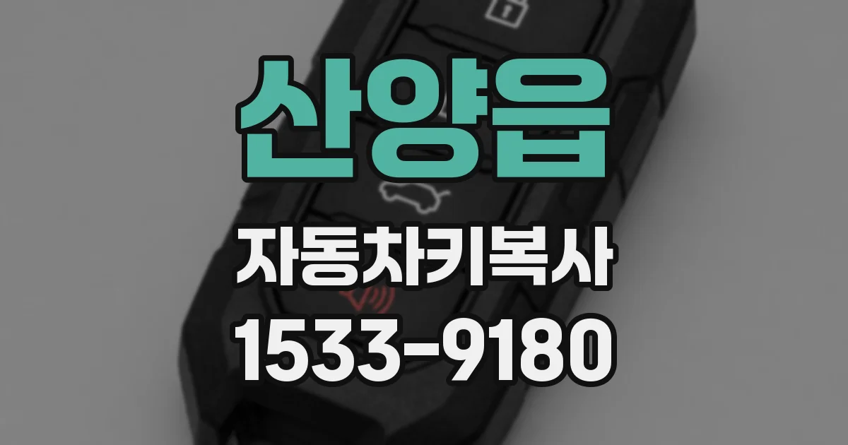 산양읍 자동차키복사