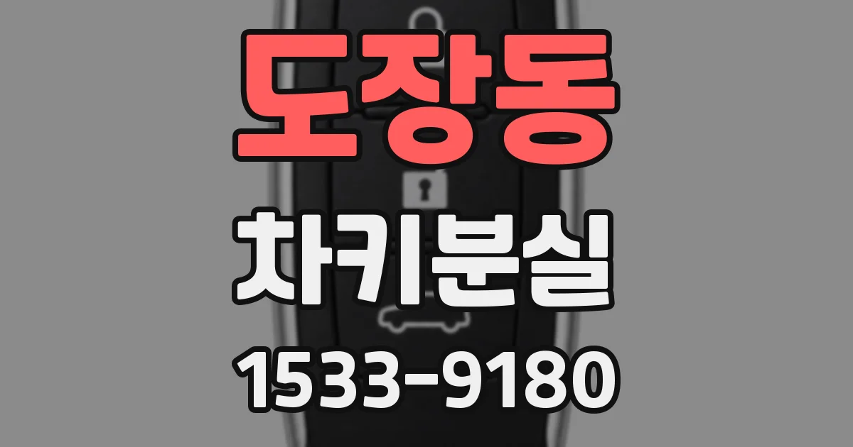 도장동 차키분실