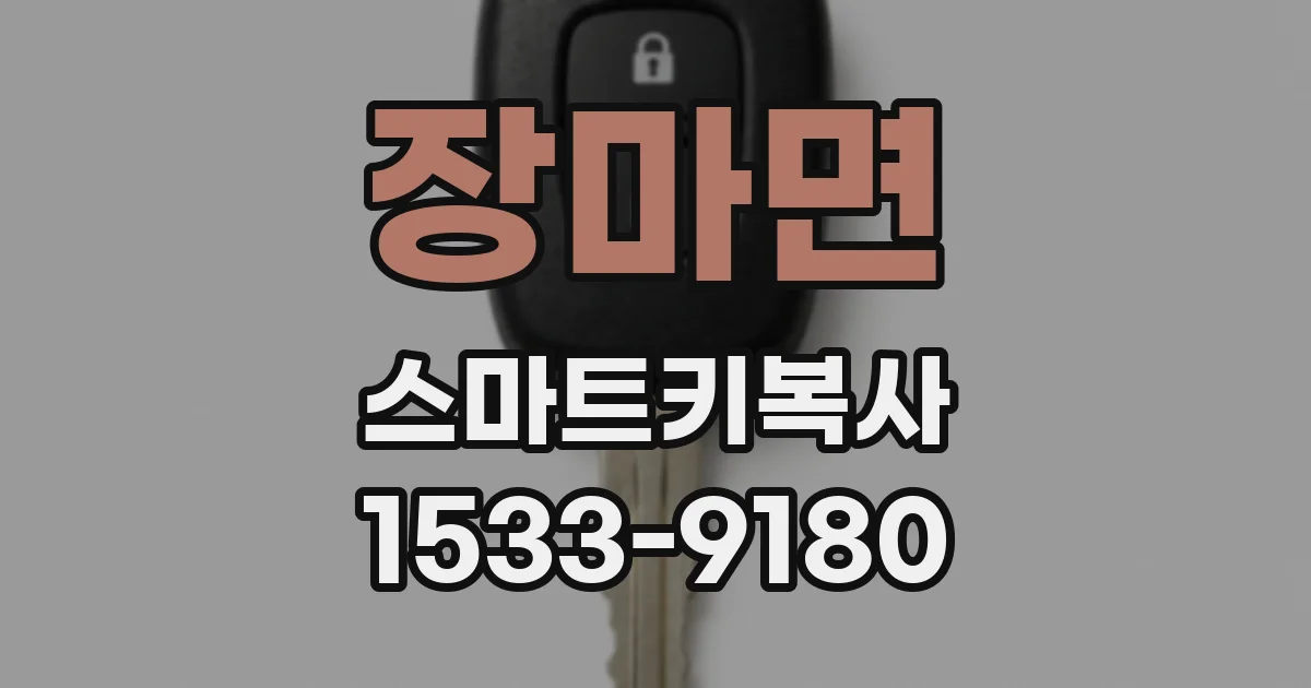 장마면 스마트키복사