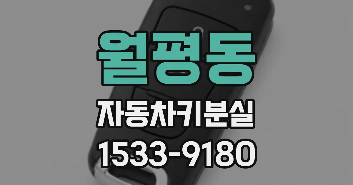 월평동 자동차키분실