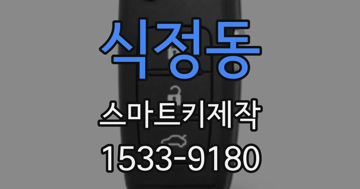 식정동 스마트키제작