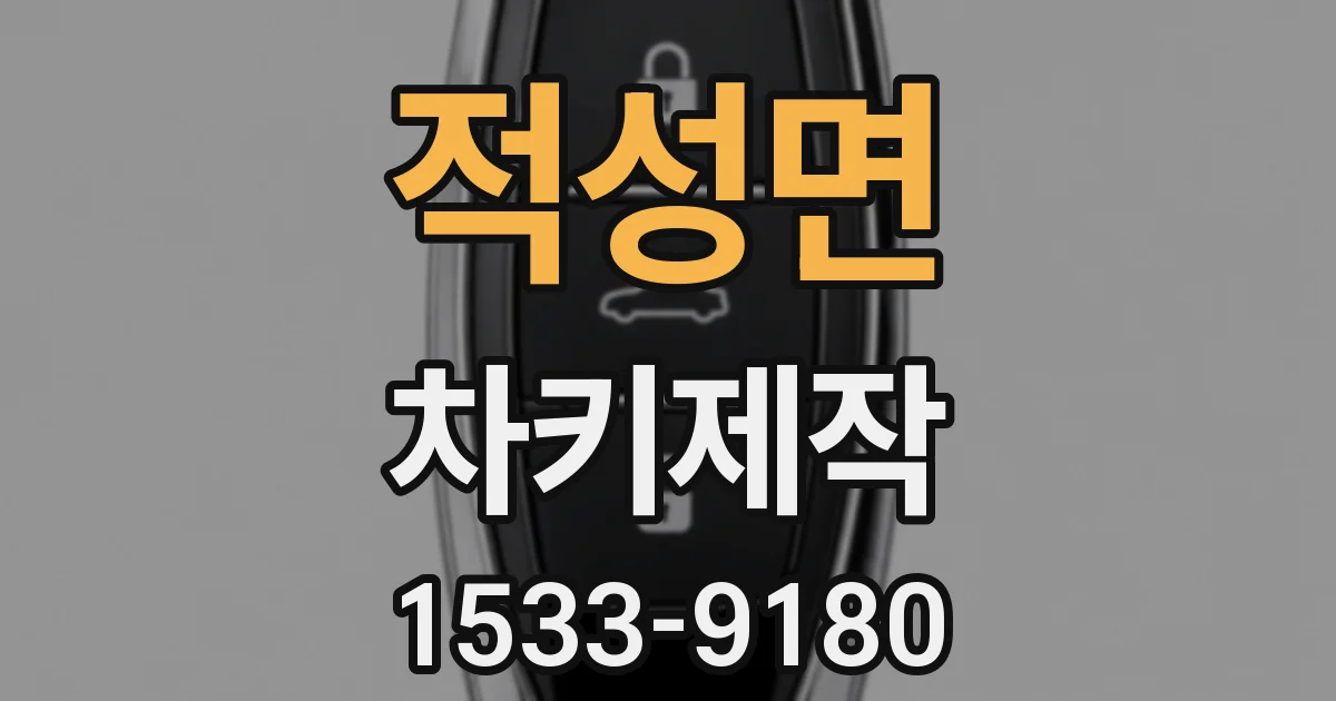 적성면 차키제작