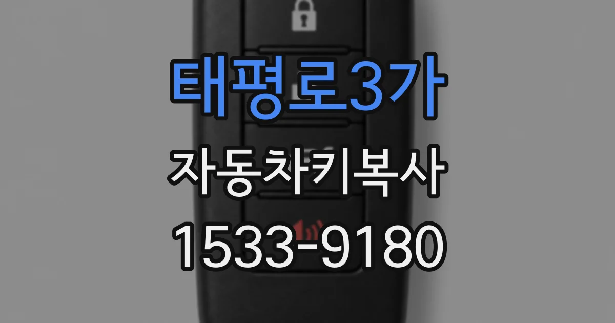 태평로3가 자동차키복사