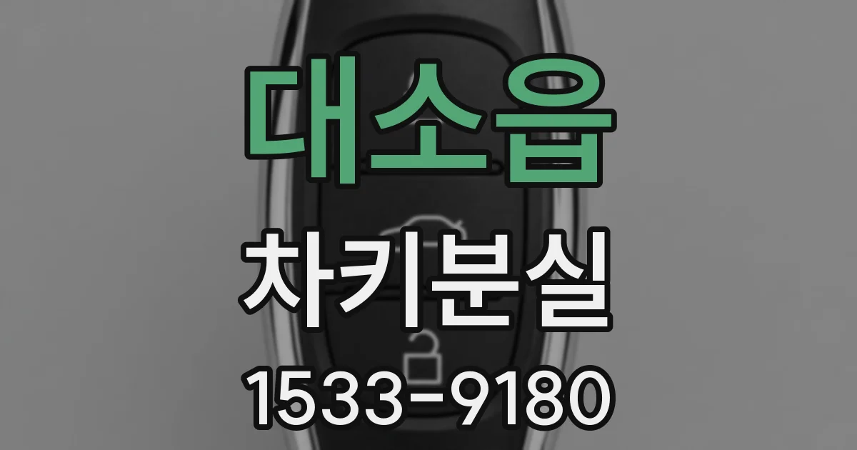 대소읍 차키분실