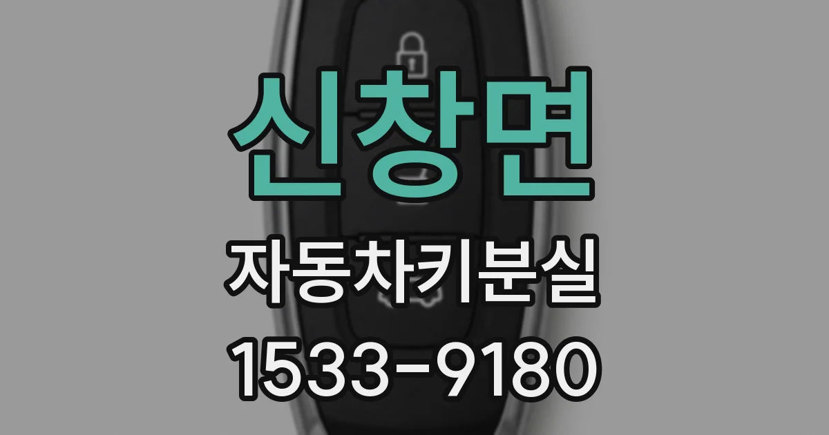 신창면 자동차키분실