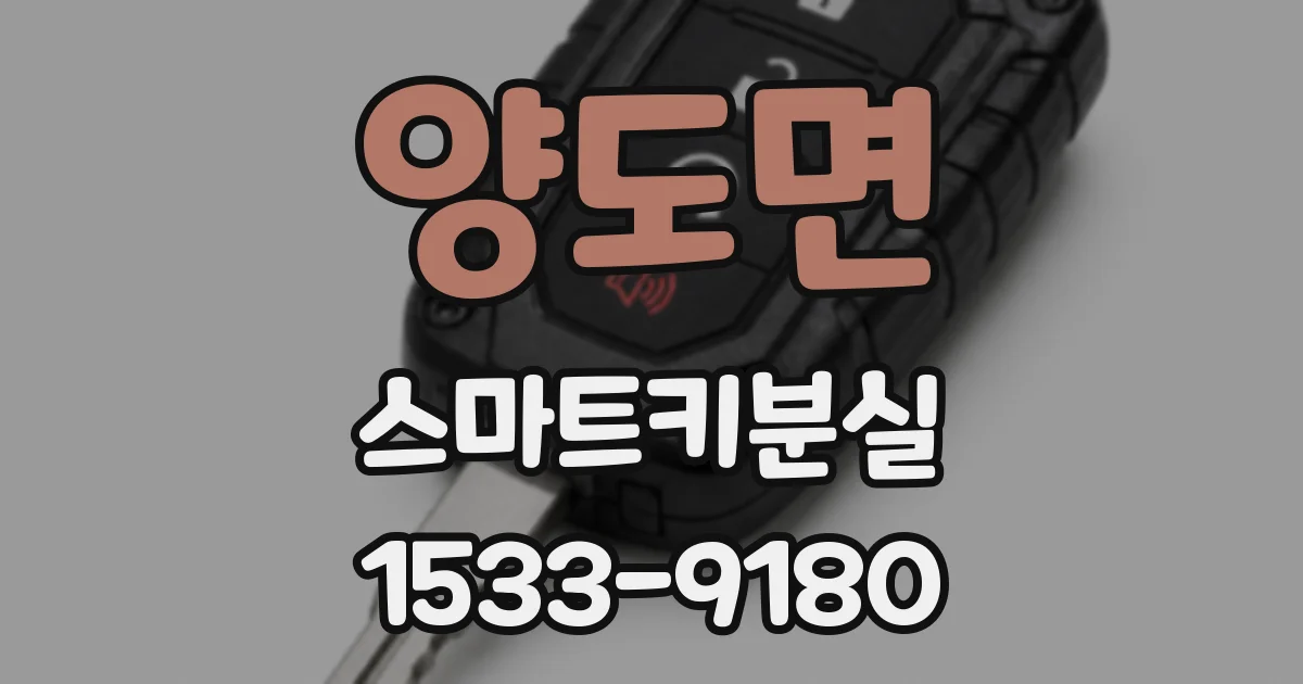 양도면 스마트키분실