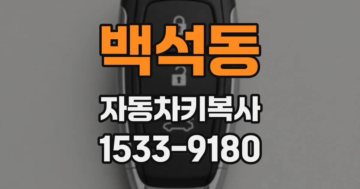 백석동 자동차키복사