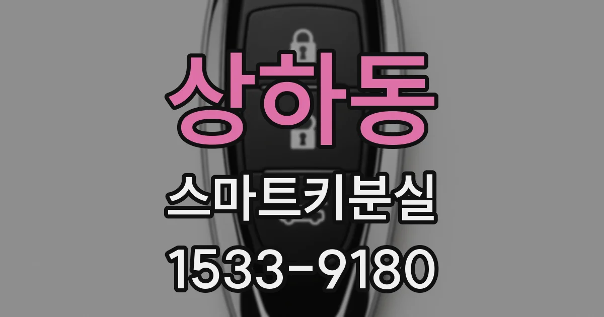 상하동 스마트키분실