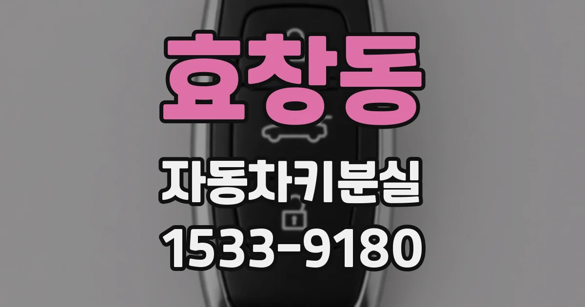 효창동 자동차키분실
