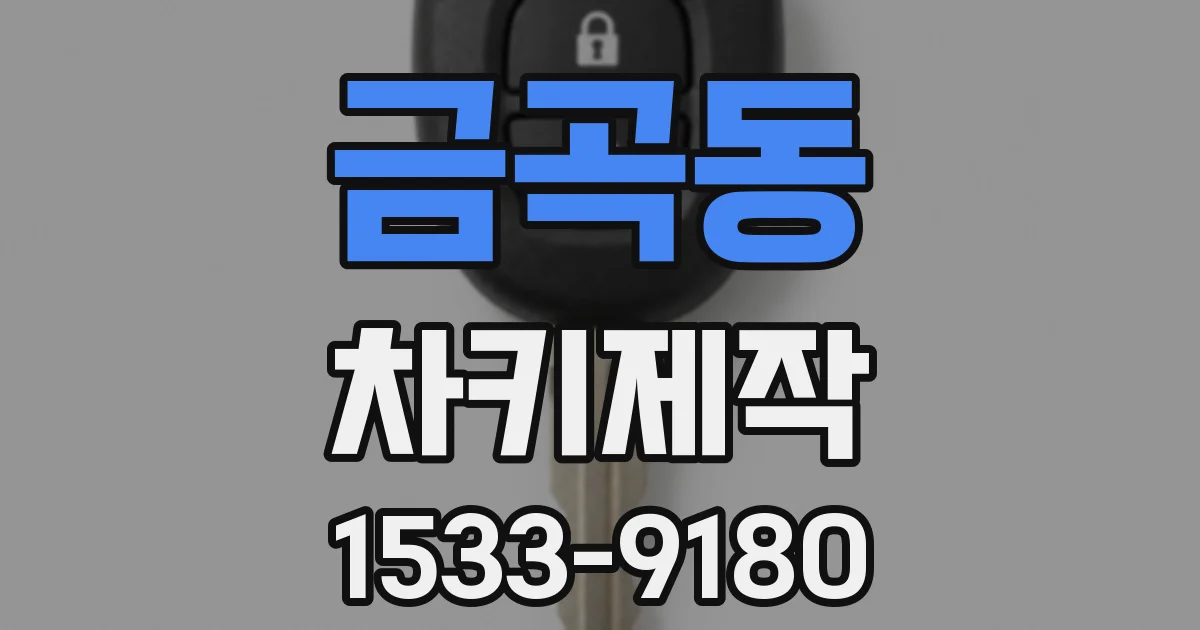 금곡동 차키제작