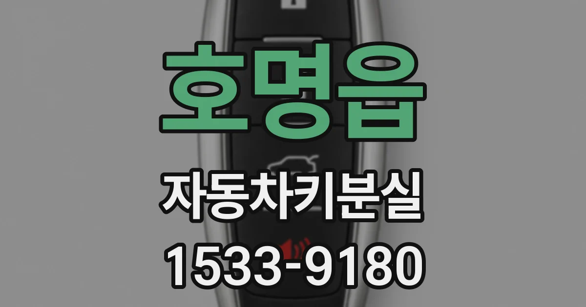 호명읍 자동차키분실