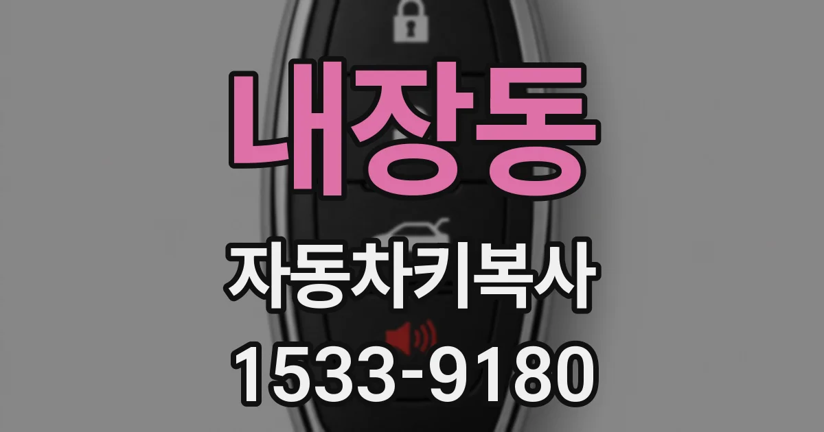 내장동 자동차키복사