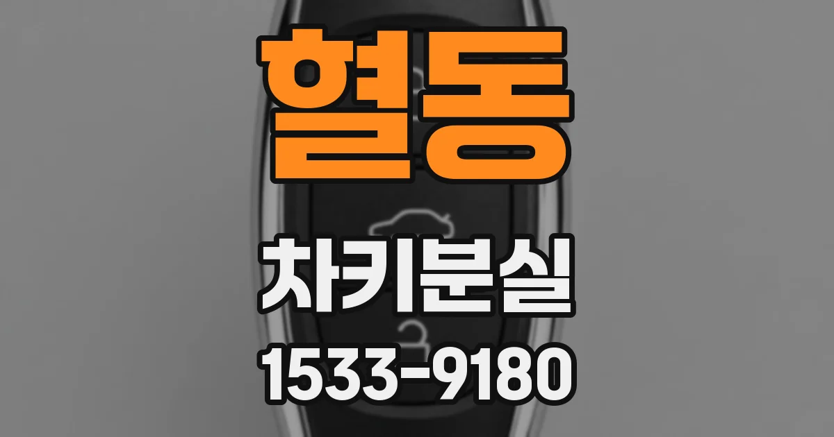 혈동 차키분실