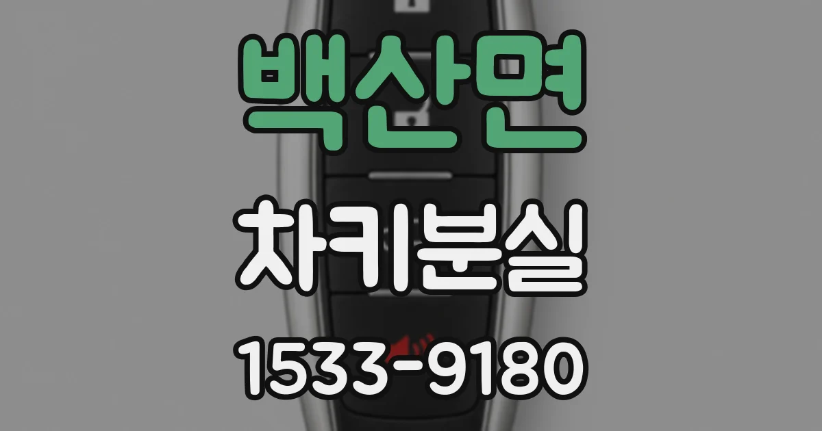 백산면 차키분실