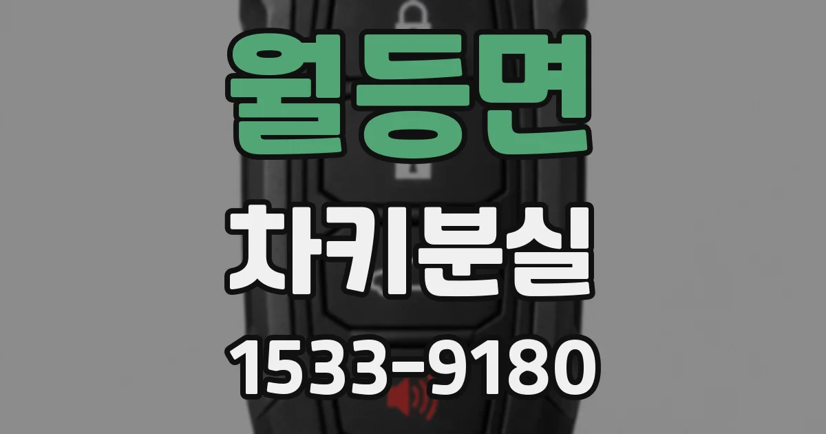 월등면 차키분실