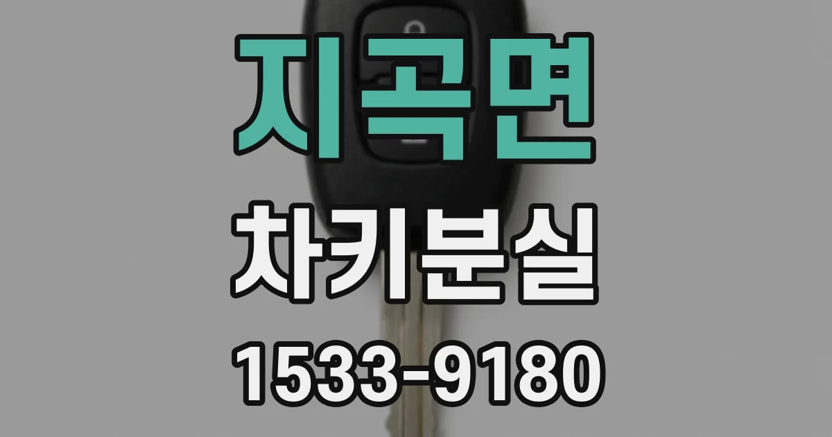 지곡면 차키분실