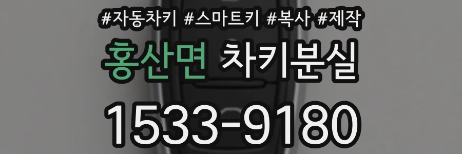 홍산면 차키분실