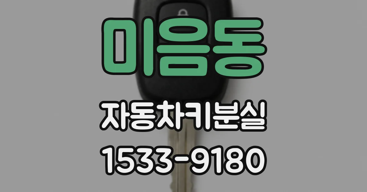 미음동 자동차키분실