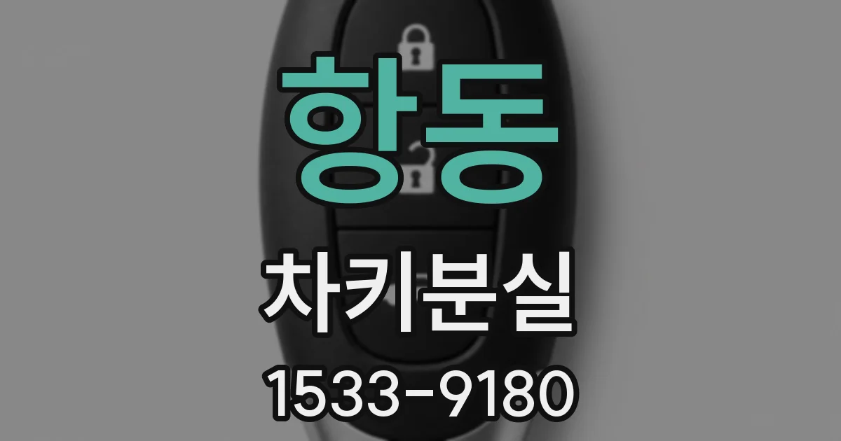 항동 차키분실