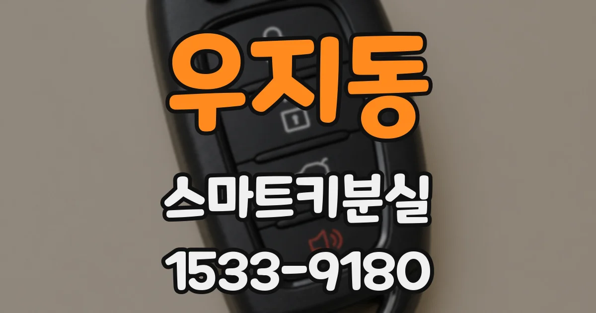 우지동 스마트키분실