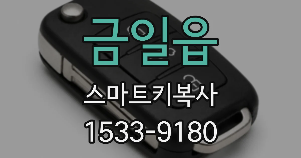 금일읍 스마트키복사
