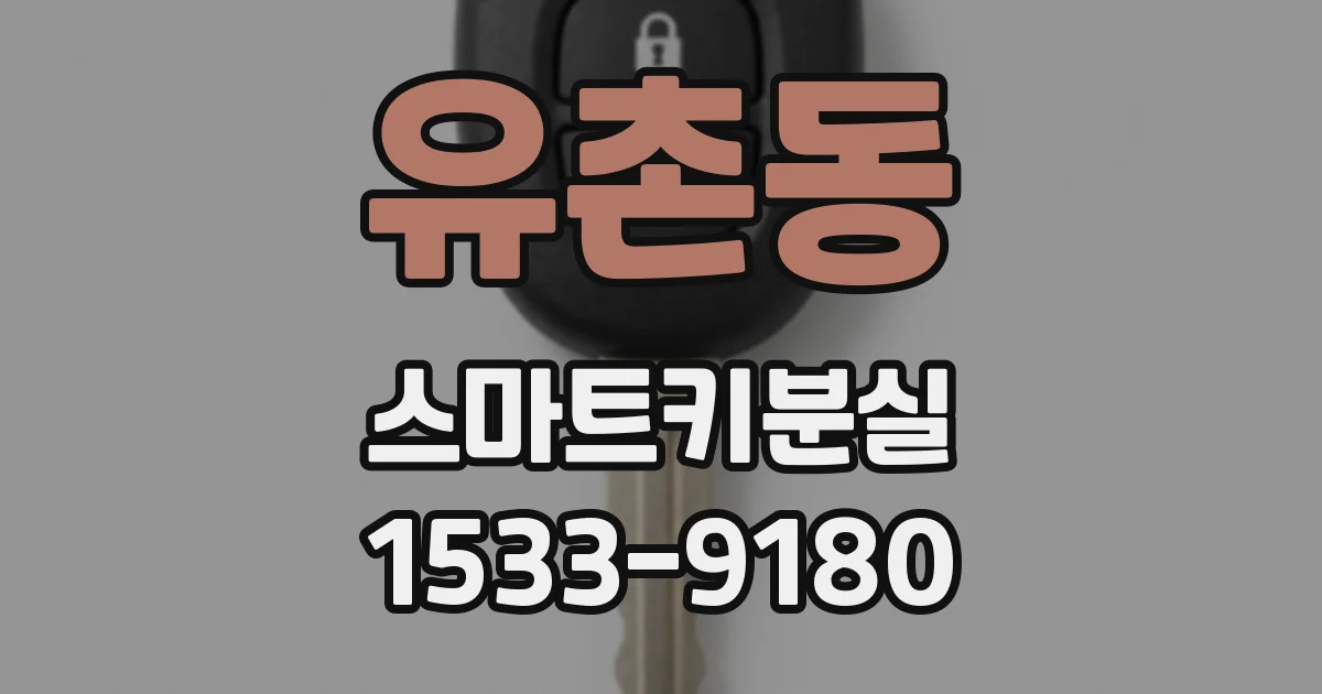 유촌동 스마트키분실