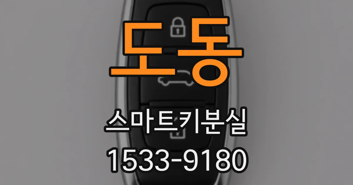 도동 스마트키분실