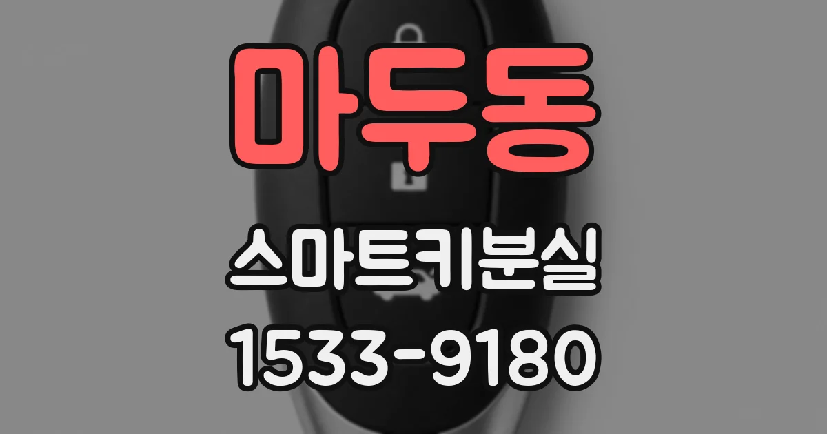 마두동 스마트키분실