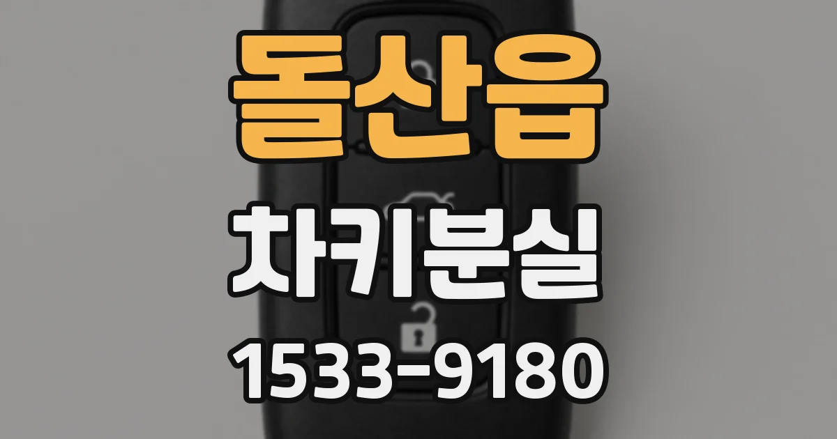 돌산읍 차키분실
