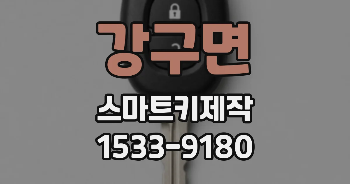 강구면 스마트키제작